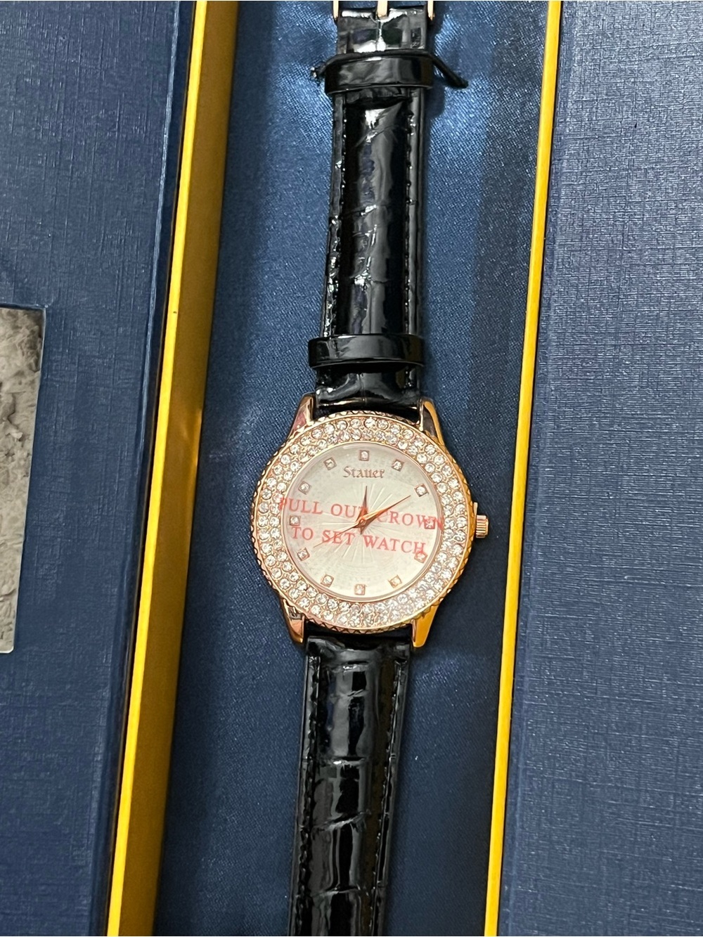 NEW Stauer Watch